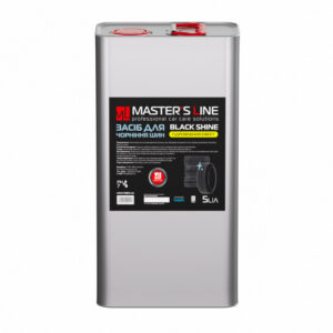 MASTER`SLine Black Shine 5l
